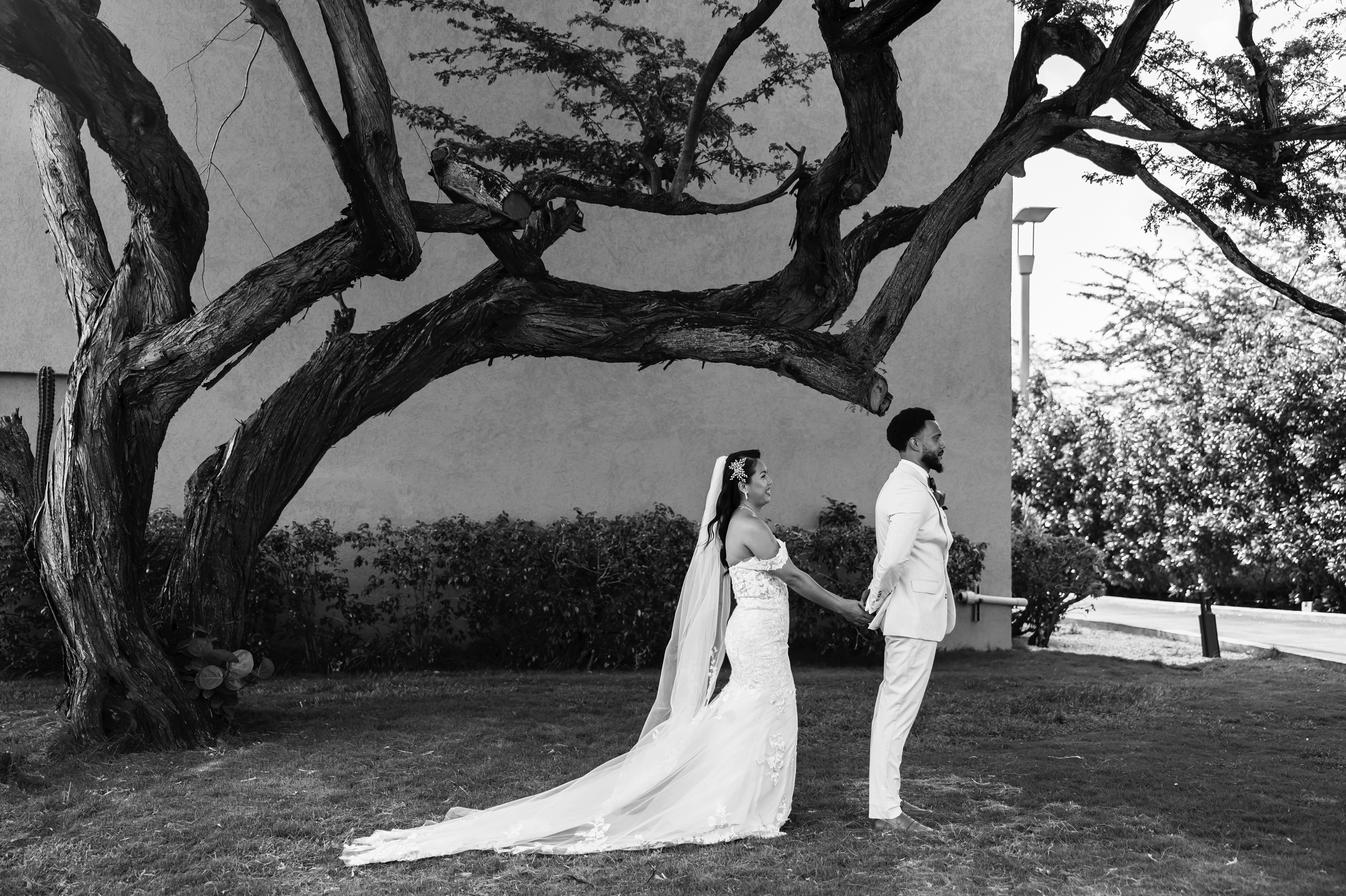 elopement in Aruba