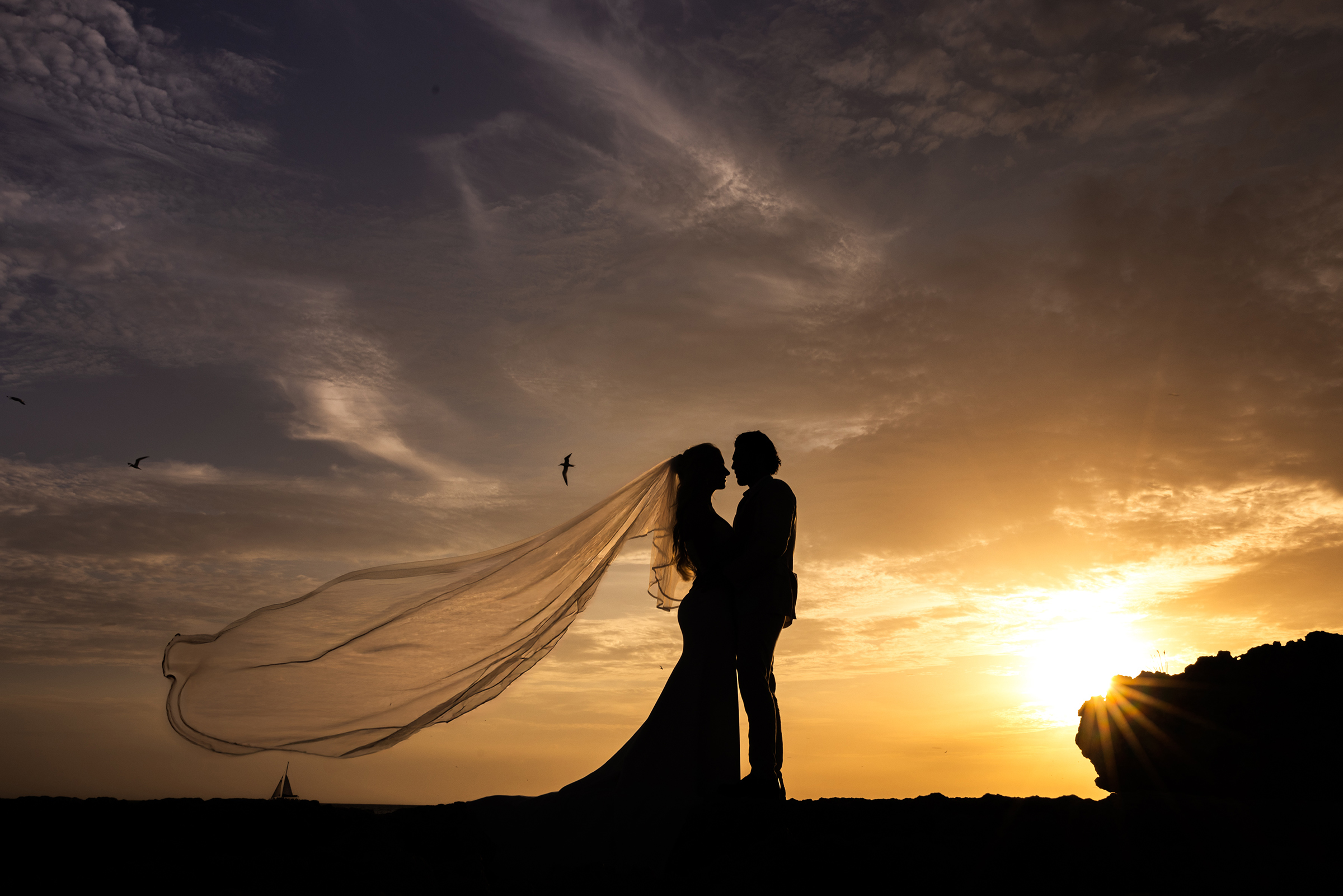 Jordan and Jenn | Wedding Nov 13 2026  | Hilton Aruba